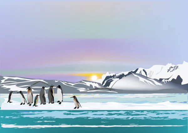 Pingouins dans la glace — Image vectorielle