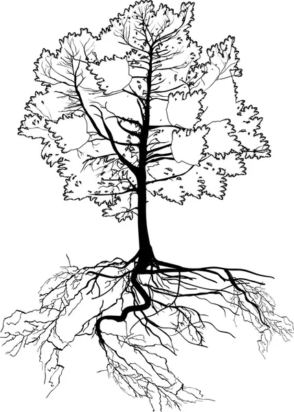 Contorno de árbol pequeño — Vector de stock