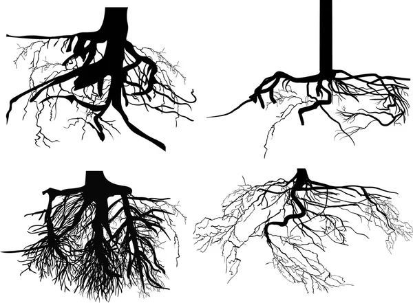 Raíces negras — Archivo Imágenes Vectoriales
