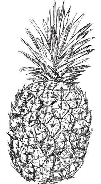 Boceto de piña — Vector de stock