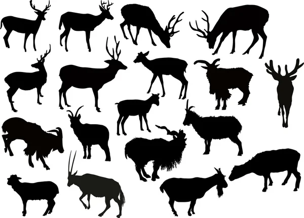 Deers and goats silhouettes — Stock Vector