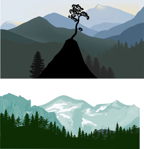 Forest in mountains — Stock Vector