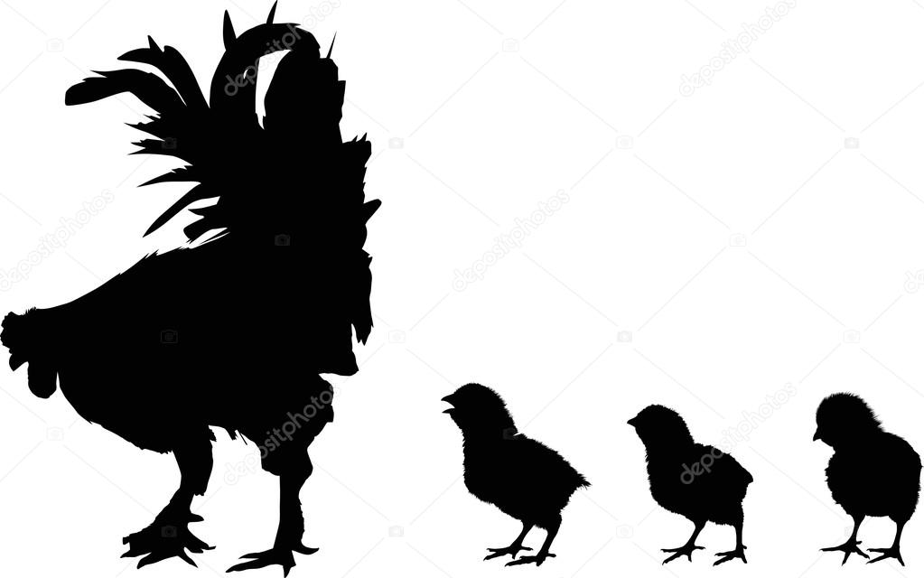 chickens and rooster silhouettes