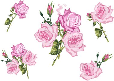 açık pembe güller