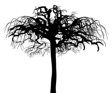 Ağaç silueti