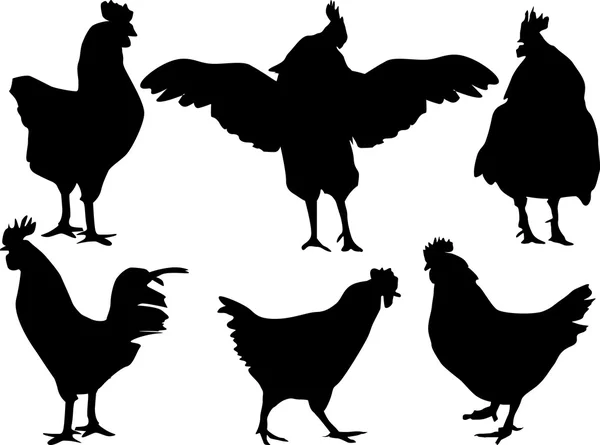 Siluetas de pollo — Vector de stock