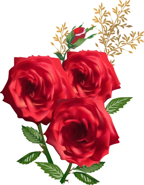 Три красных розы и бутон — стоковый вектор