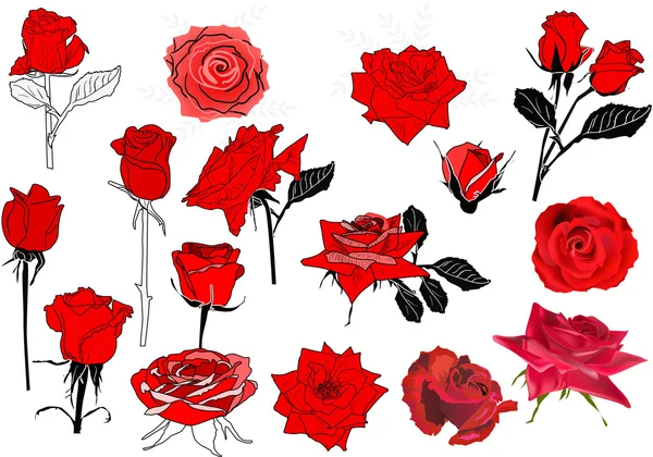 Colección de rosas rojas — Vector de stock