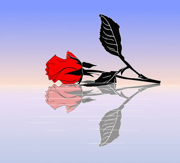 Червона троянда і відображення — стоковий вектор