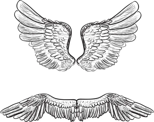 翼のスケッチ — ストックベクタ