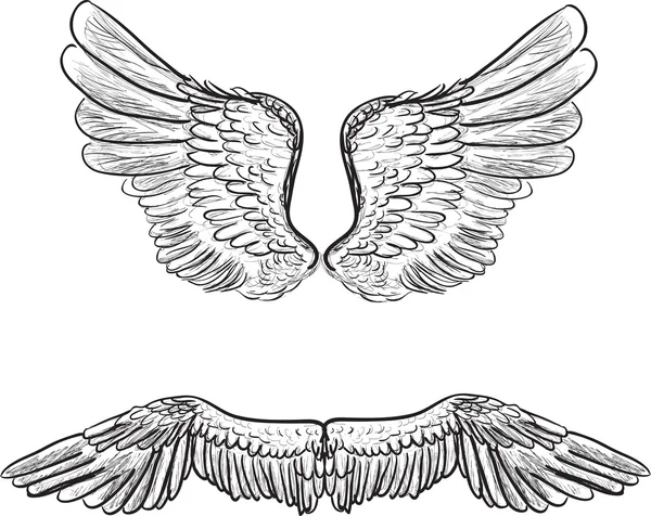 Esboços de asas — Vetor de Stock