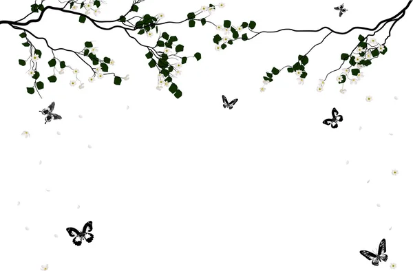 Сакура и бабочки — стоковый вектор