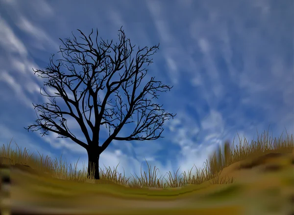 Árbol bajo el cielo azul — Vector de stock