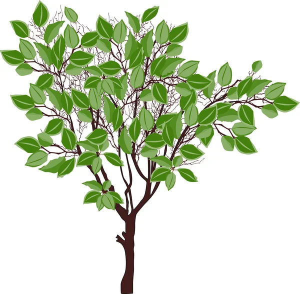 Árbol marrón — Vector de stock