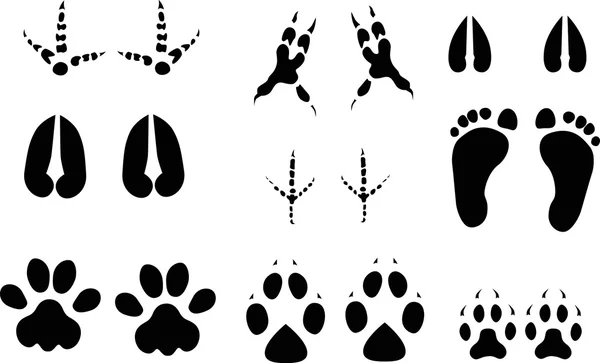 Set of  ine animals and birds  tracks — Stock Vector