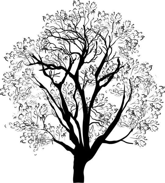 Tree black sketch — Stock Vector