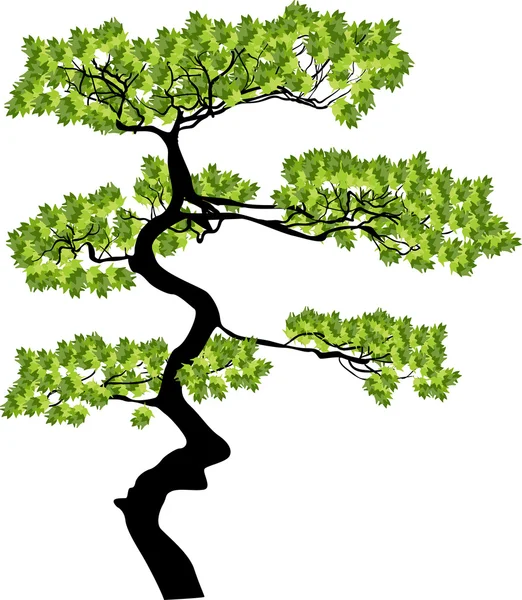Green   tree — Stock Vector