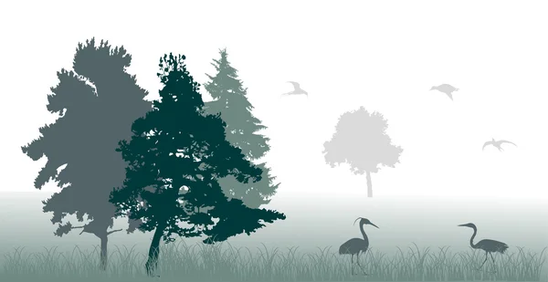 Birds in green forest — Stock Vector