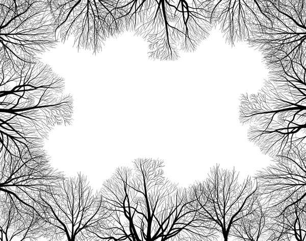 Black bare trees  frame — Stock Vector