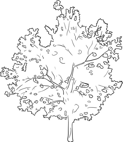 black sketch tree