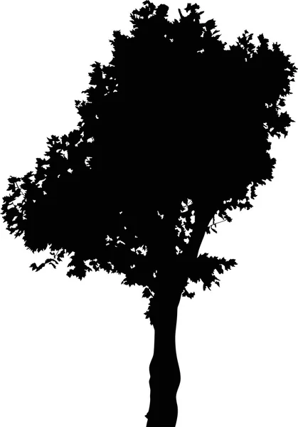 Silhouette d'arbre — Image vectorielle