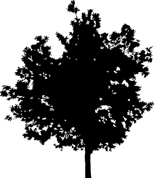 Oak tree silhouette — Stock Vector