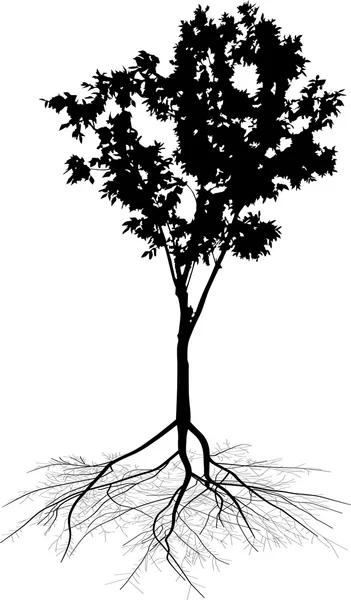 Μικρό δέντρο με ρίζα — Διανυσματικό Αρχείο