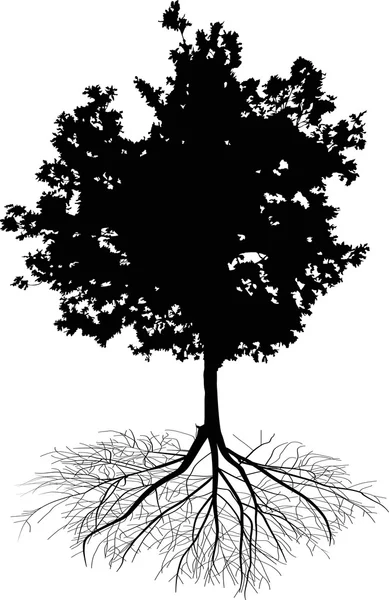 Arbre caduc noir — Image vectorielle