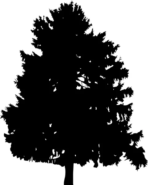 FIR tree siluett — Stock vektor