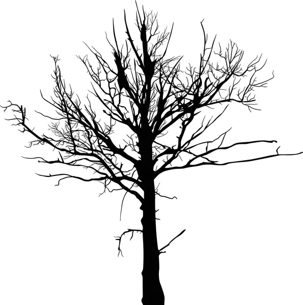 Silhouette d'arbre — Image vectorielle