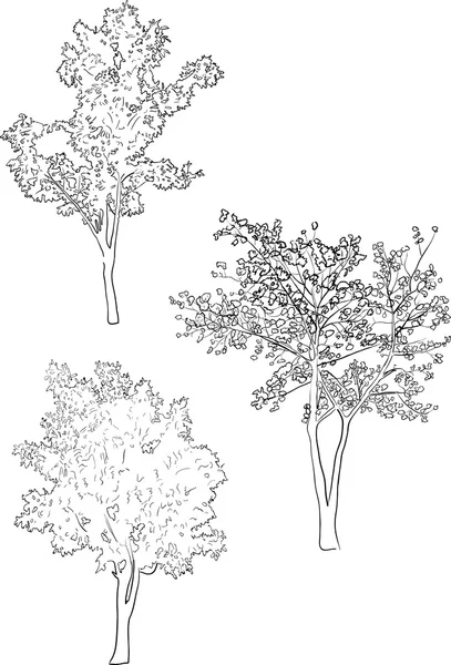 Tree skisser — Stock vektor