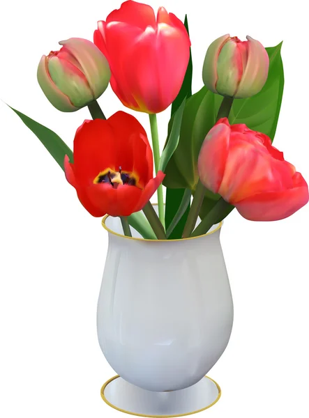 Flores de tulipa vermelha — Vetor de Stock