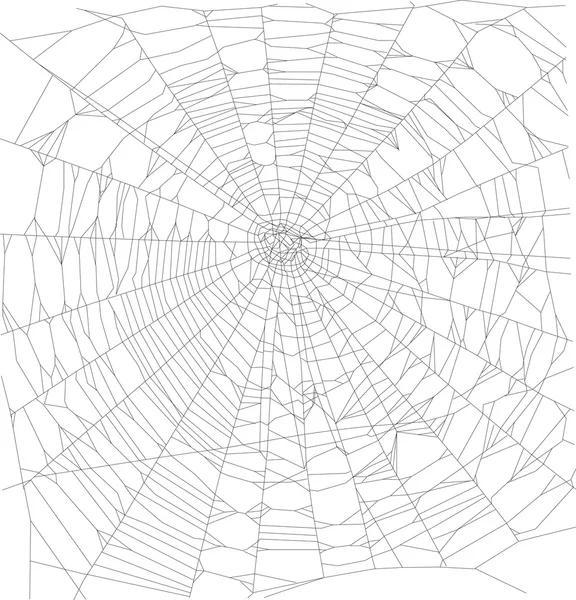 Black spider web — Stock Vector