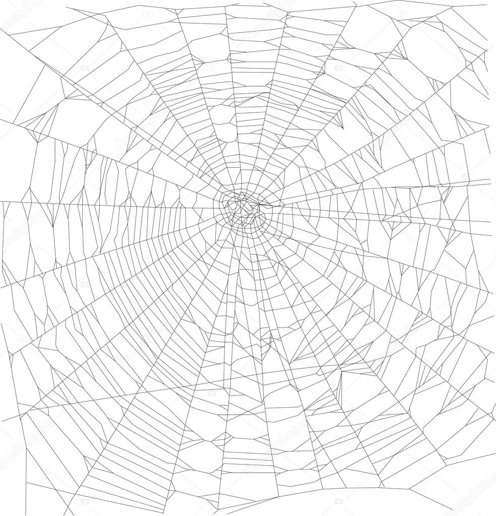 black spider web