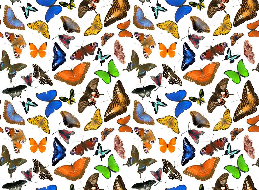 seamless background from butterflies