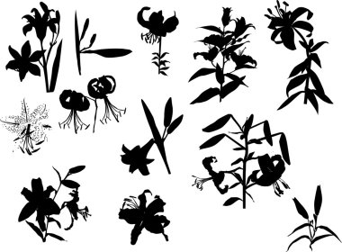 siyah çiçekler siluetleri