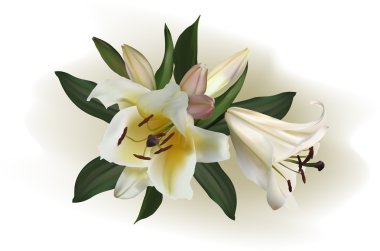 ışık lily çiçek