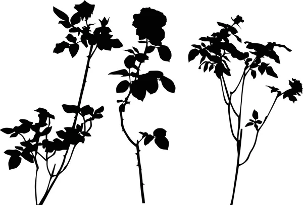 3 つの黒いバラ — ストックベクタ