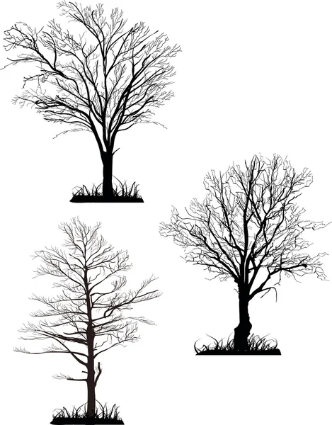 Bare trees silhouettes — Stock Vector