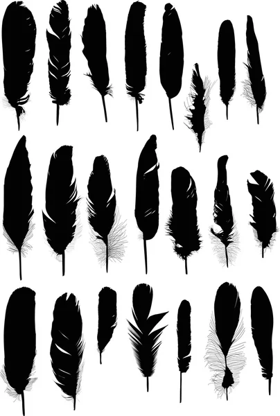 Negro plumas siluetas — Vector de stock