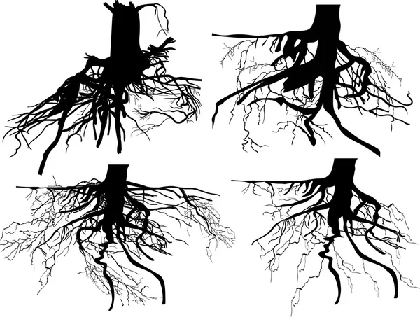 Conjunto de raíces negras — Archivo Imágenes Vectoriales
