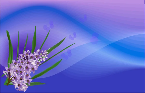 许多的淡紫色花 — 图库矢量图片
