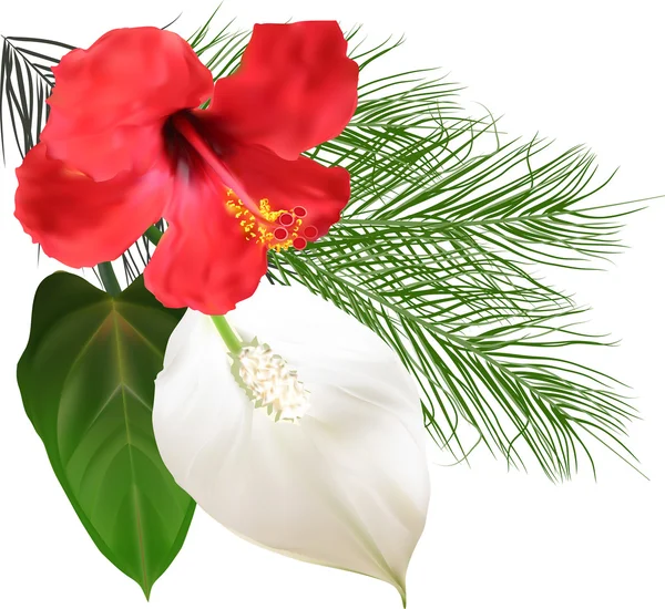 Kırmızı ve beyaz tropik çiçekler — Stok Vektör