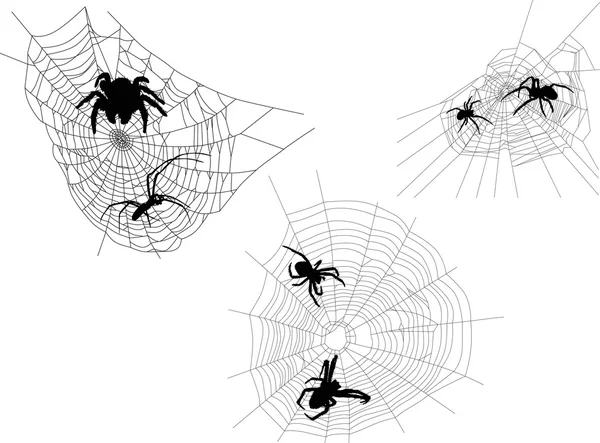 Three webs with spiders — Stock Vector