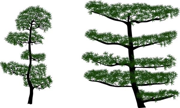 Grands arbres verts — Image vectorielle