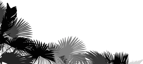Hojas de palmera — Vector de stock