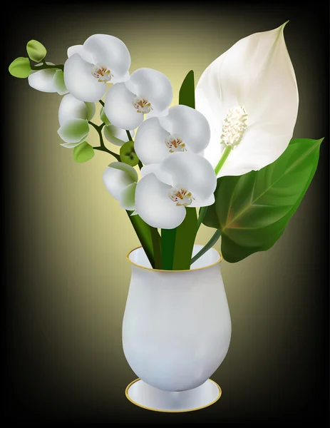 花瓶の白い蘭 — ストックベクタ