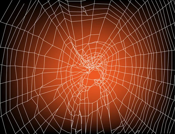 Spider web on sunset background — Stock Vector