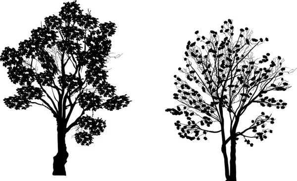 2 つの黒い木 — ストックベクタ
