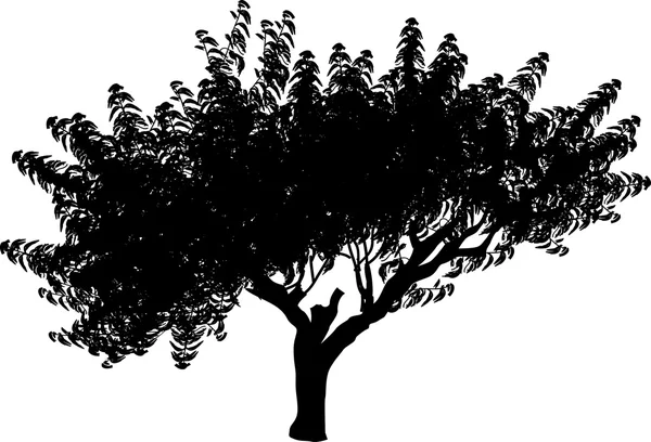 Μεγάλο μαύρο δέντρο — Διανυσματικό Αρχείο